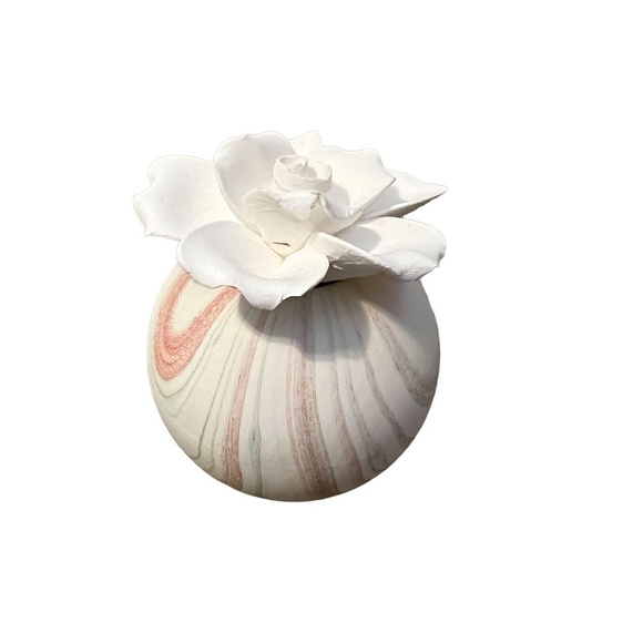 NEW Multicolor Marbled Succulent Diffuser‎ - Picture 3 of 8